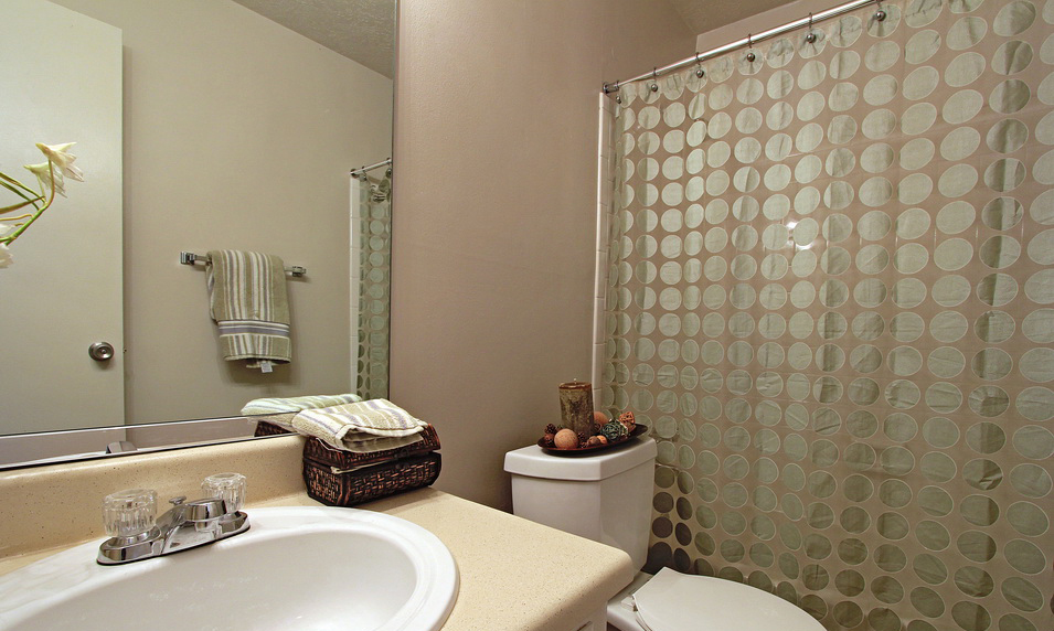 Gallery KRC Alderwood Trails